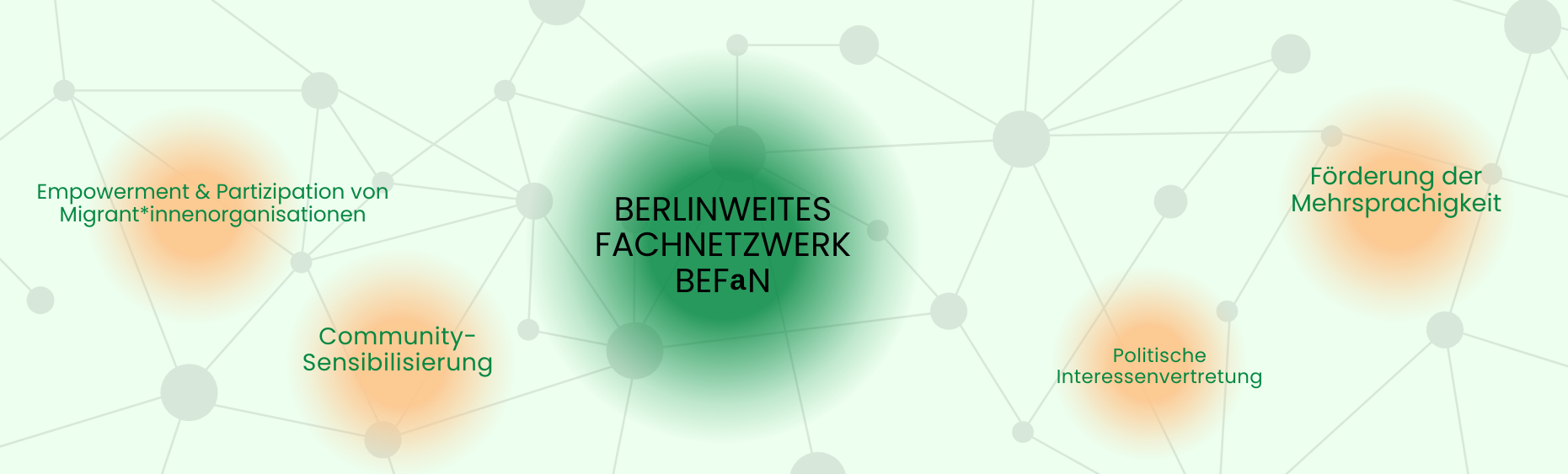 BEFaN Netzwerk